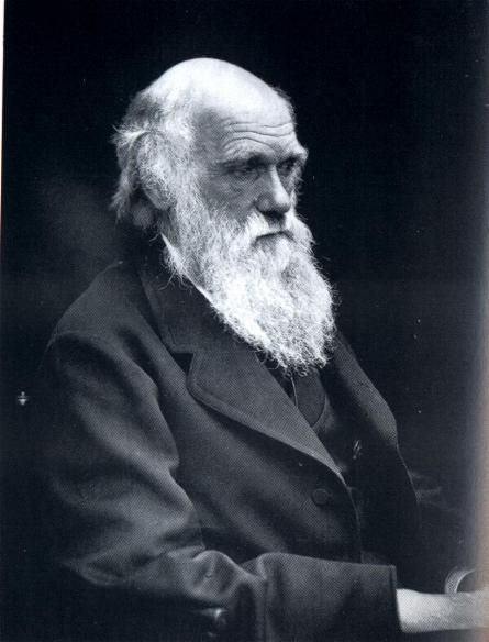 darwin